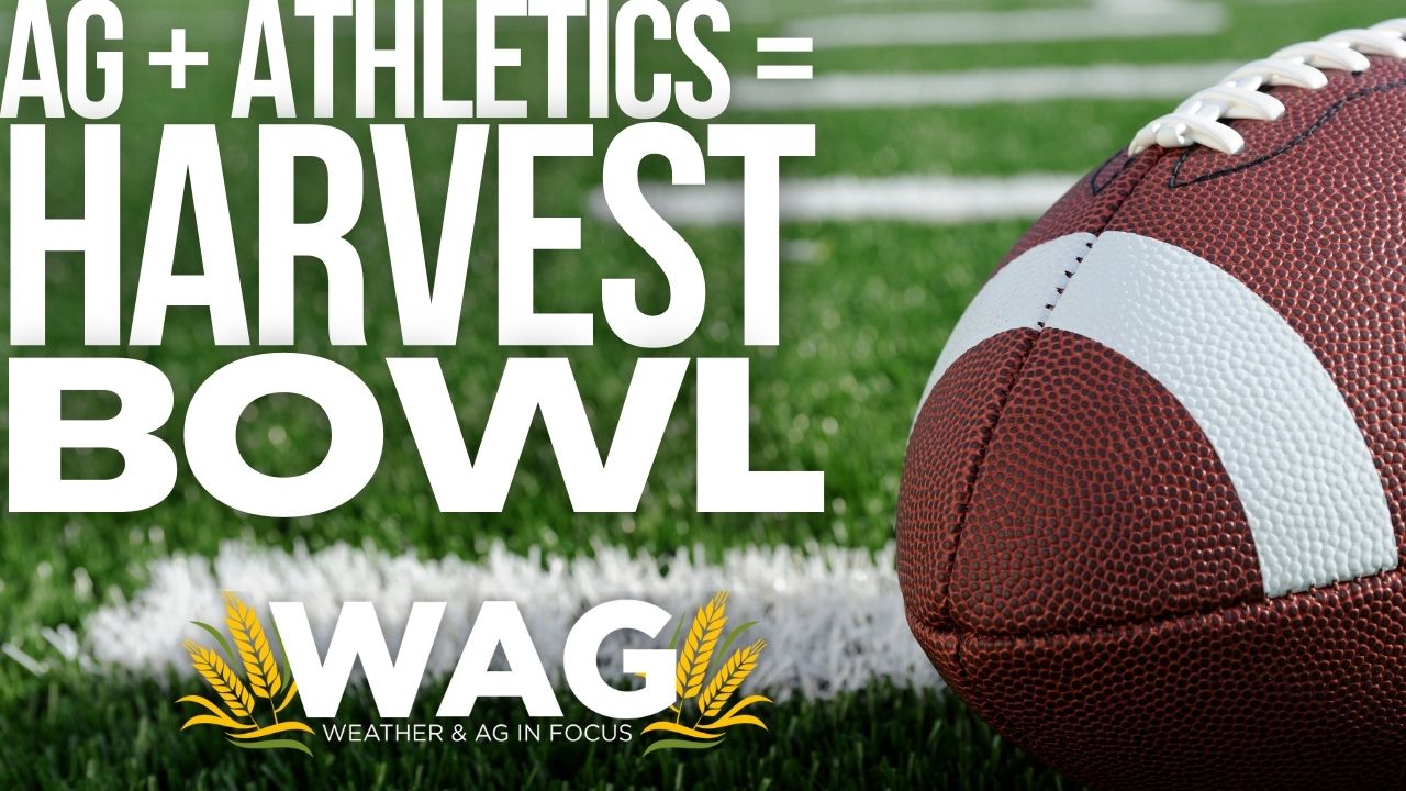 Ag + Athletics = Harvest Bowl! 11-07-22 WAG In Focus