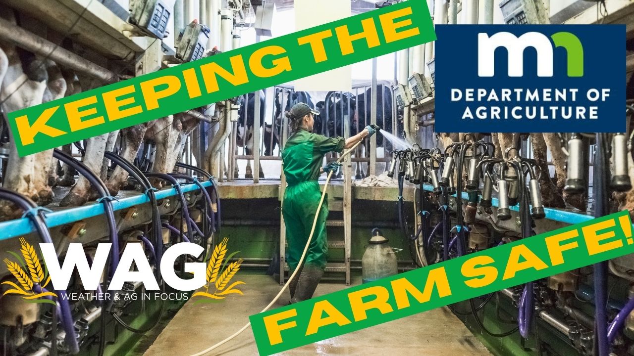 Keeping The Farm Safe! | WAG in Focus 1/18/24
