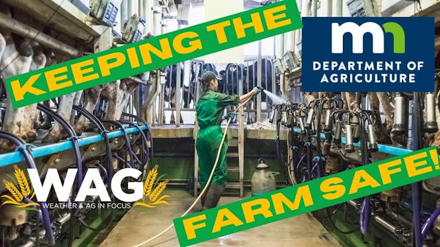 Keeping The Farm Safe! | WAG in Focus...