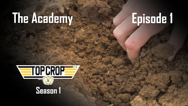 The Academy | Top Crop