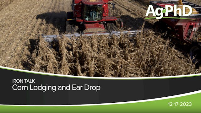 Corn Lodging and Ear Drop | Ag PhD