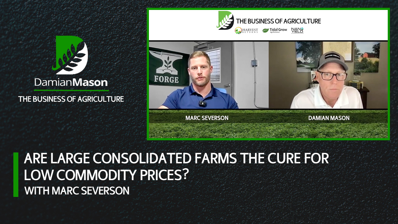 Are Large Consolidated Farms the Cure for Low Commodity Prices? | Damian Mason