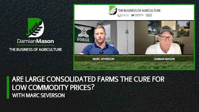 Are Large Consolidated Farms the Cure...
