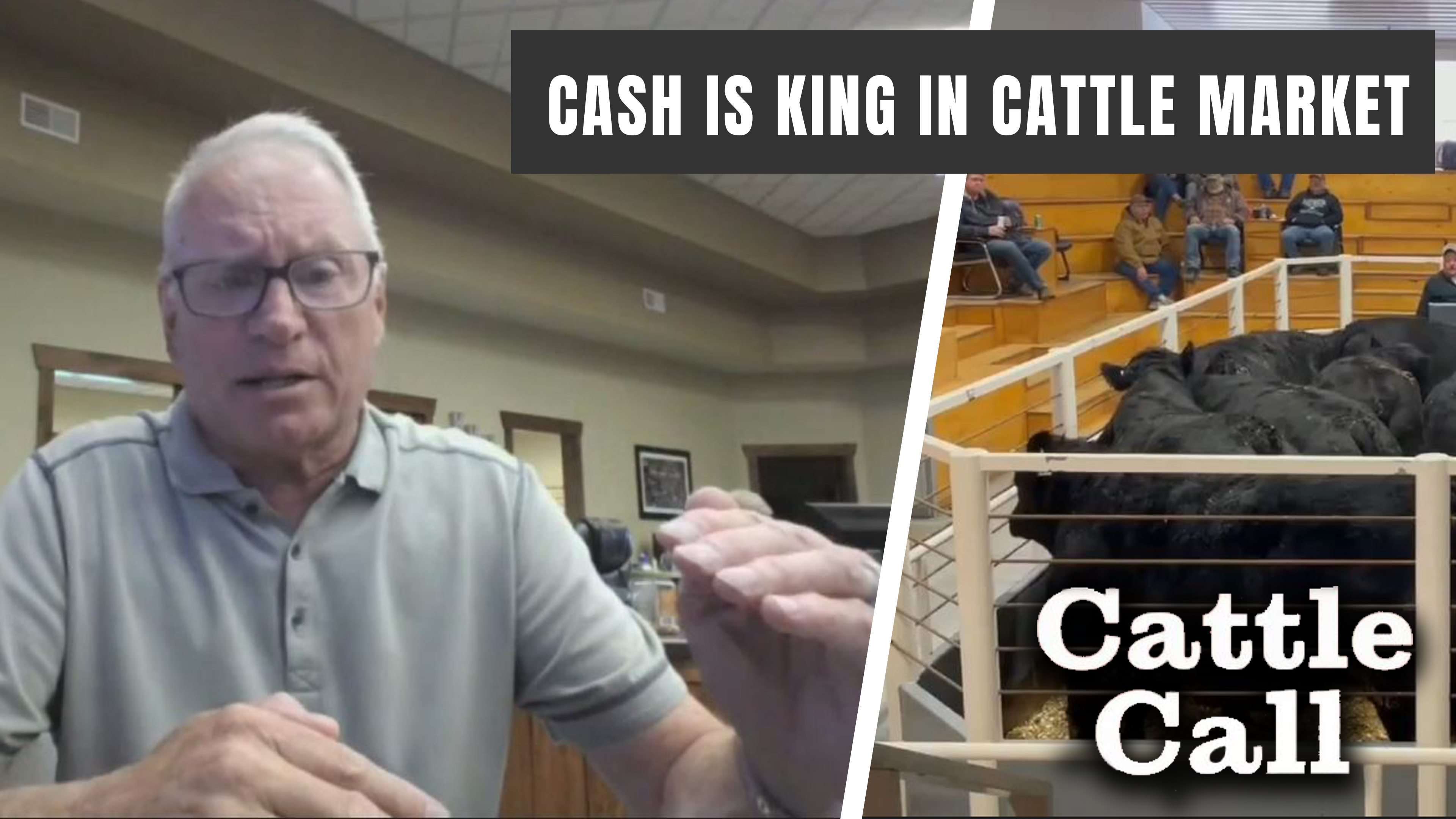Cash is King in the Cattle Market | Cattle Call