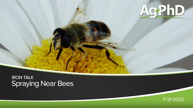 Spraying Near Bees | Ag PhD