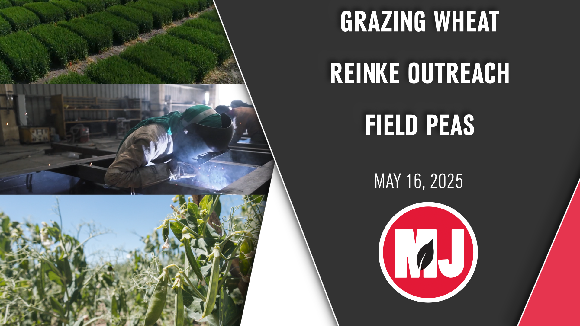 May 16, 2025 | Market Journal