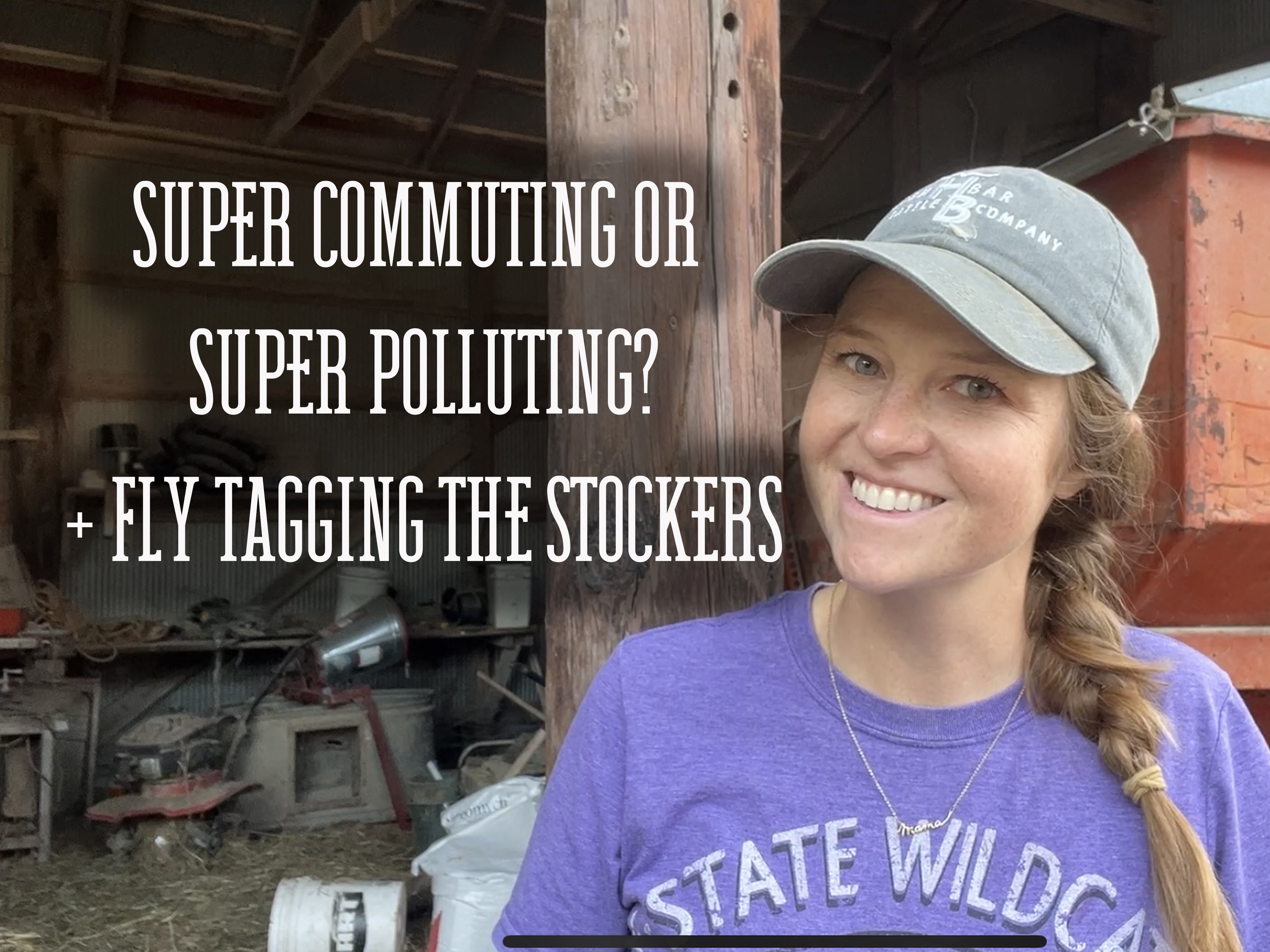 Super Commuting or Super Polluting? Fly Tagging The Stockers | Buzzard's Beat