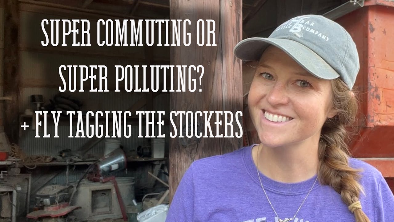 Super Commuting or Super Polluting? Fly Tagging The Stockers | Buzzard ...