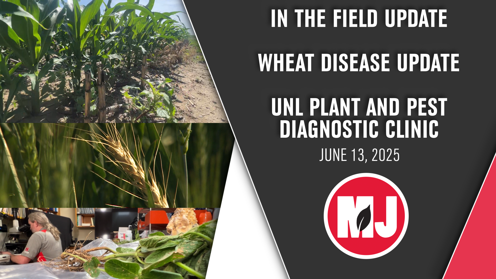 June 13, 2025 | Market Journal