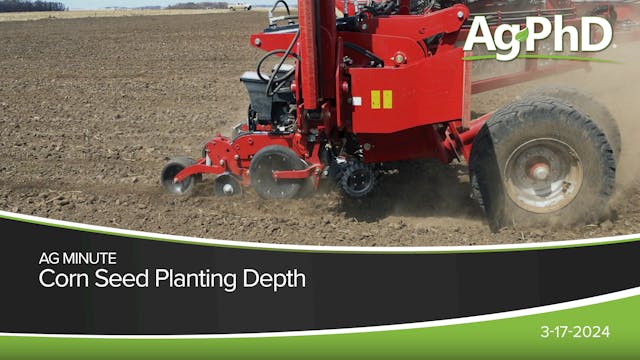 Corn Seed Planting Depth | Ag PhD