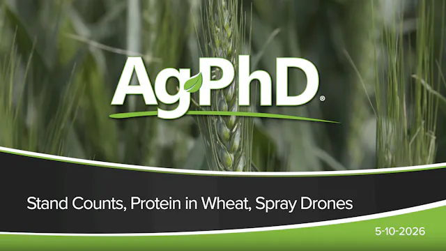 Stand Counts, Protein in Wheat, Spray...