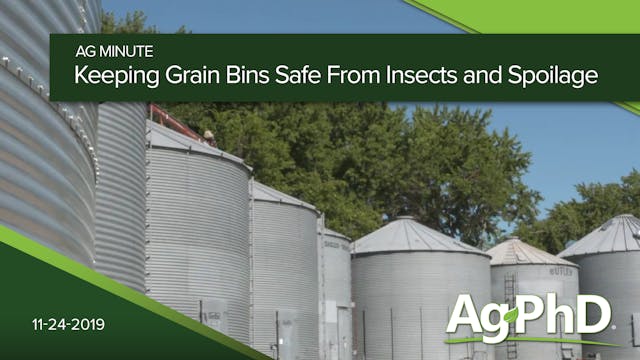 Keeping Grain Bins Safe From Insects ...