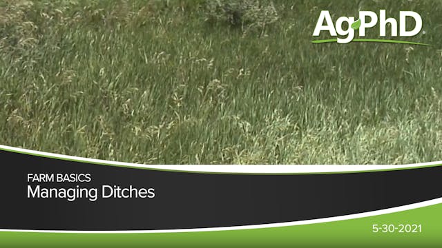 Managing Ditches | Ag PhD
