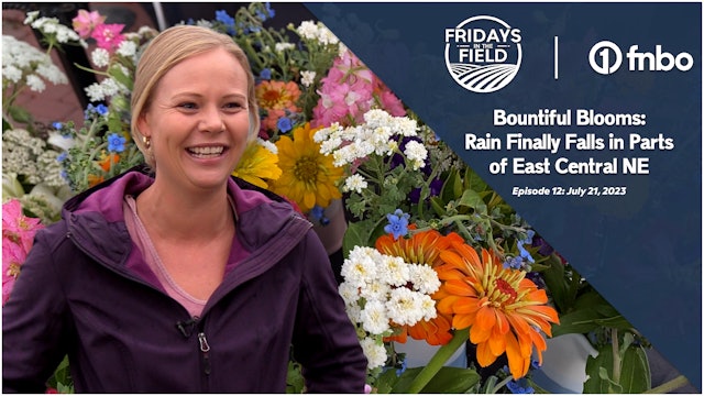 Long-Awaited Moisture Brings Bountiful Blooms at West Mill Flowers | Rural Radio