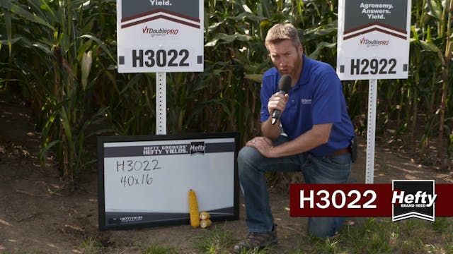 Hefty Brand Corn - H3022 Late-Season ...