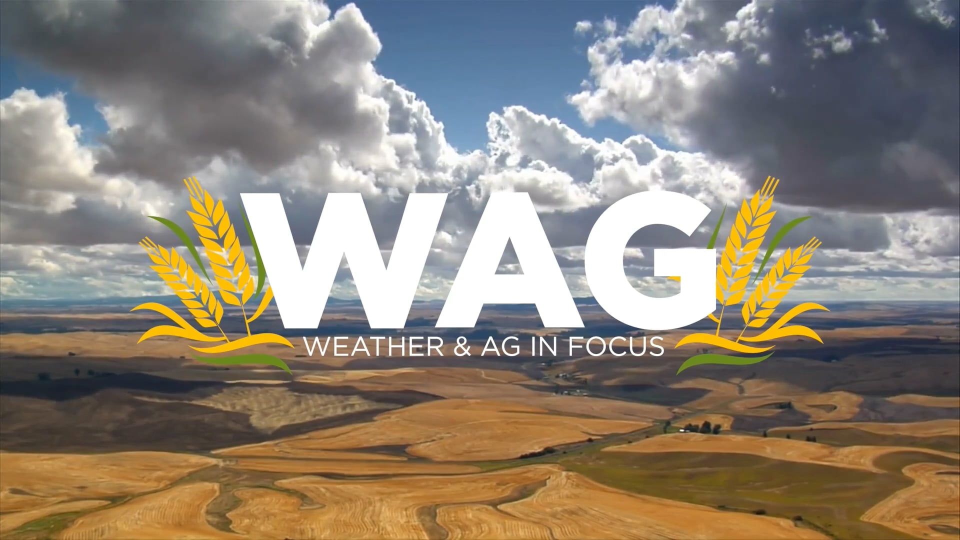 Farm Equipment Roadway Rules | WAG in Focus 05-16-25