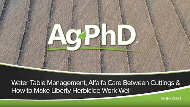 Water Table Management, Alfalfa Care ...