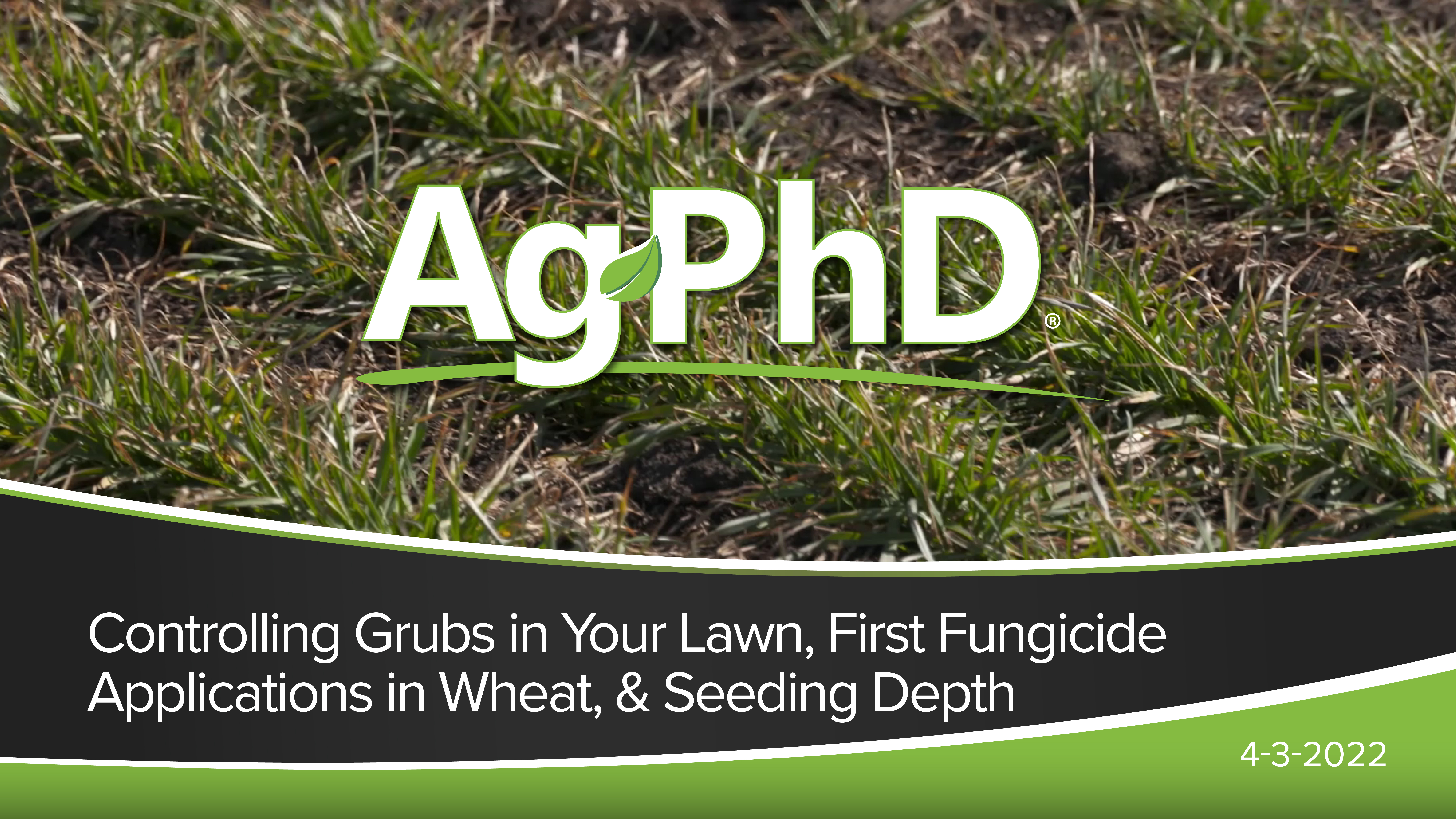 Control Grubs in Lawns, 1st Fungicide Applications in Wheat, Seed Depth | Ag PhD