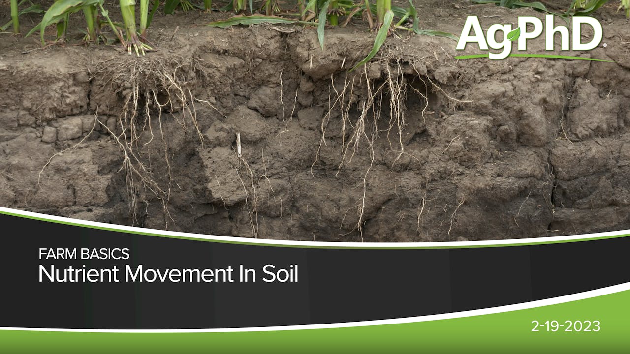 Nutrient Movement In Soil | Ag PhD - 2023 - AcresTV