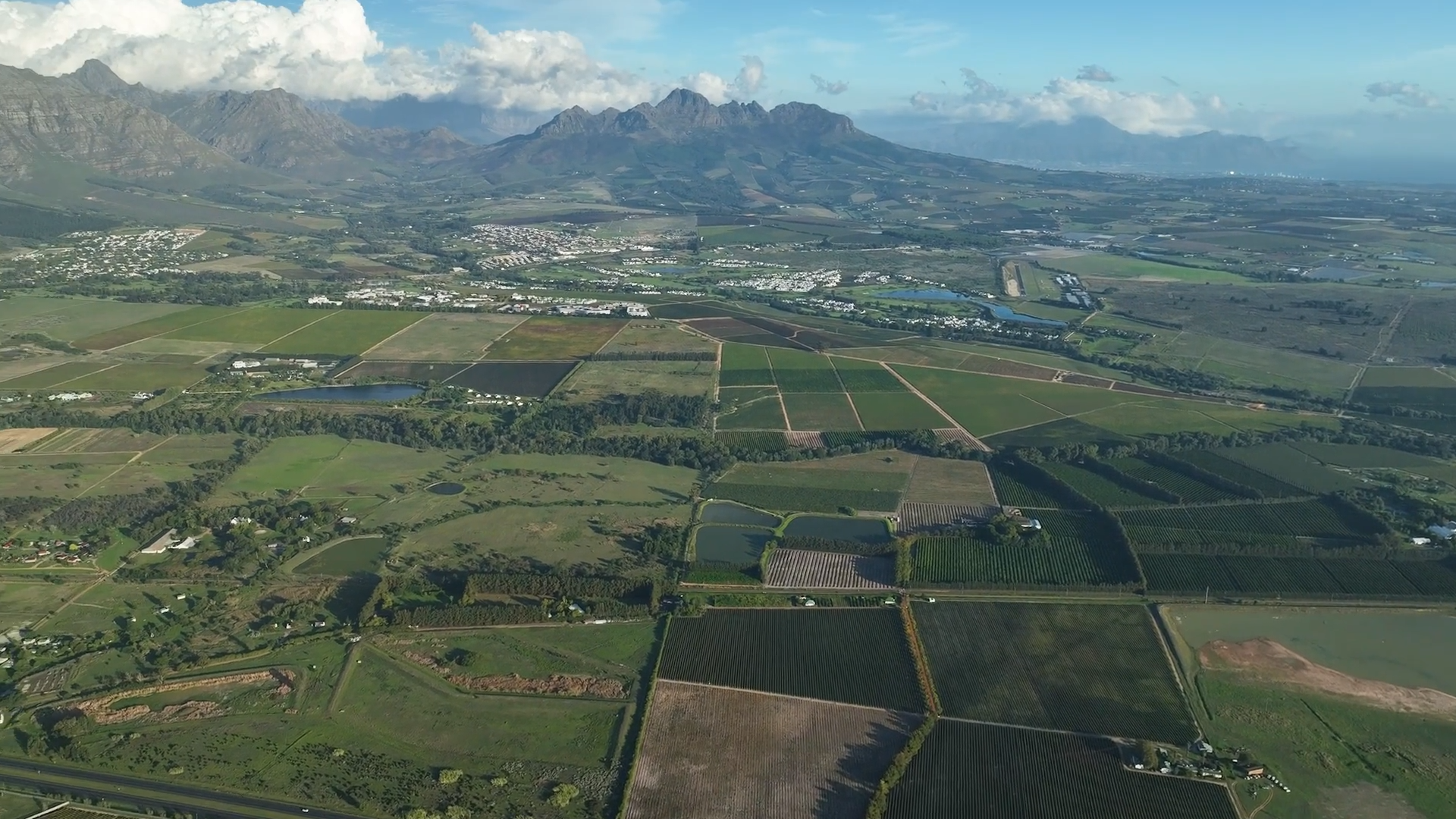 Down to Cape Town | 203 | Live To Farm