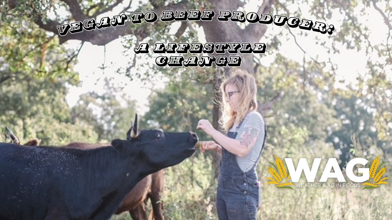 Vegan To Beef Producer: A Lifestyle Change | WAG in Focus 12/13/23