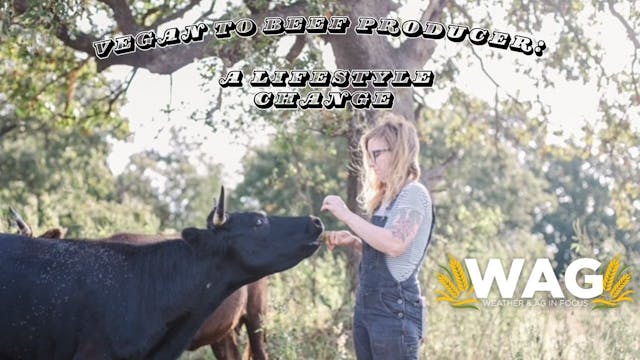 Vegan To Beef Producer: A Lifestyle C...