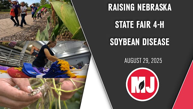 August 29, 2025 | Market Journal