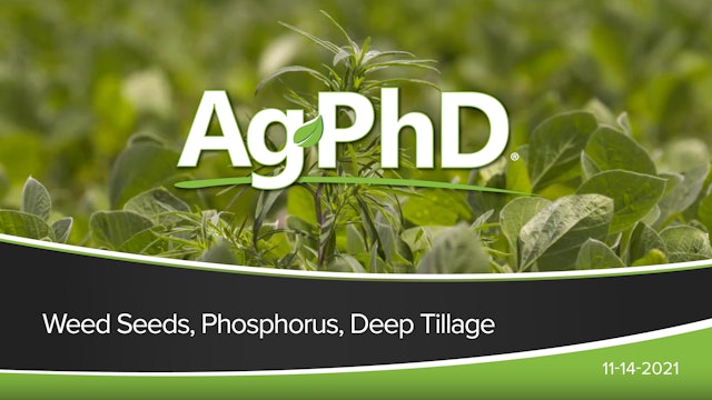 Weed Seeds, Phosphorous, Deep Tillage | Ag PhD