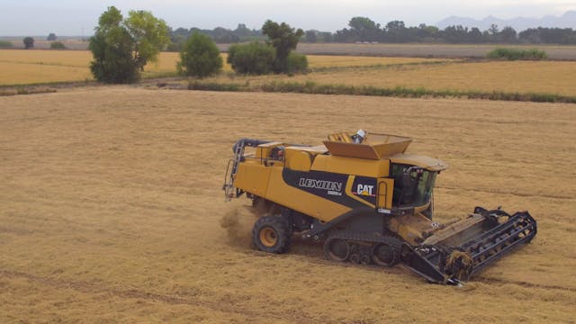 How Sushi Rice is Harvested | Redox