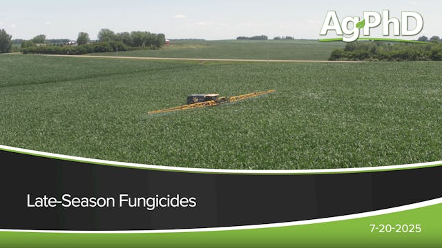 Late-Season Fungicides | Ag PhD