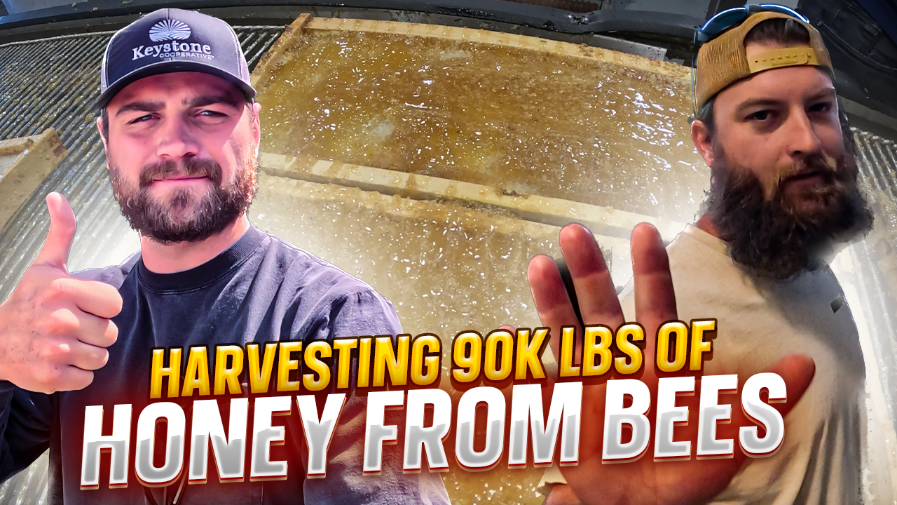 90,000 POUNDS of LIQUID GOLD! | Pomes and Stones 