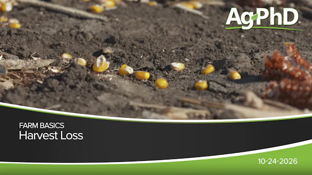 Harvest Loss | Ag PhD