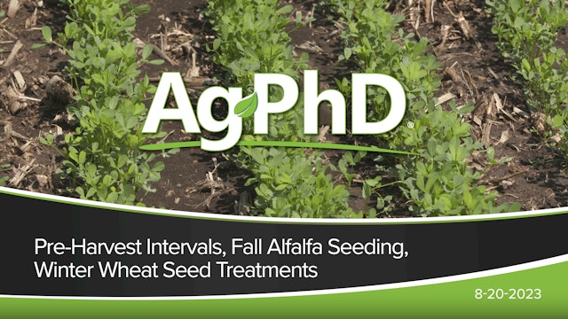 Pre-Harvest Intervals, Fall Alfalfa Seeding, Winter Wheat Seed Treatments|Ag PhD