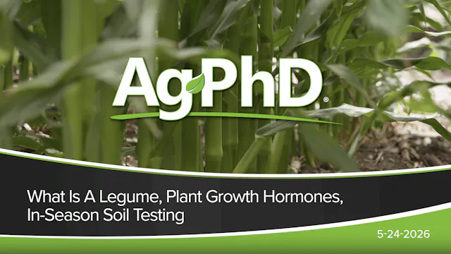 What Is A Legume, Plant Growth Hormon...