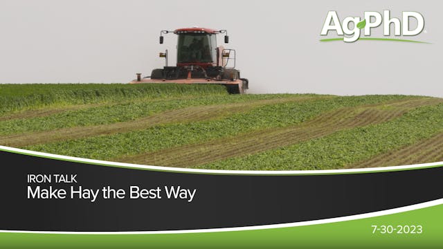 Make Hay the Best Way | Ag PhD