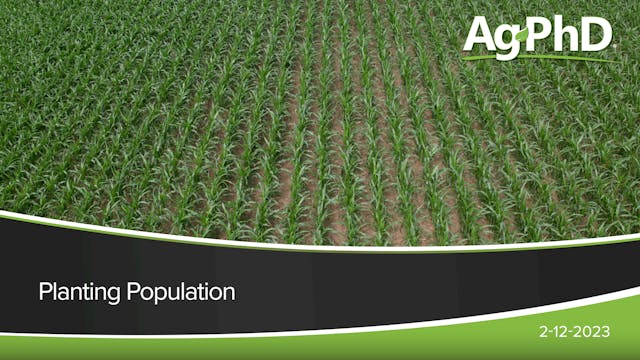 Planting Population | Ag PhD