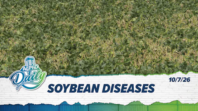 Soybean Diseases | Ag PhD Daily | 10/...