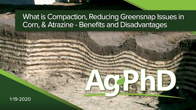 What is Compaction, Reducing Greensna...