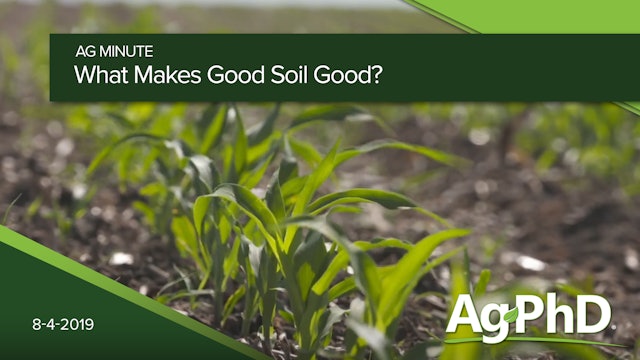 What Makes Good Soil Good?