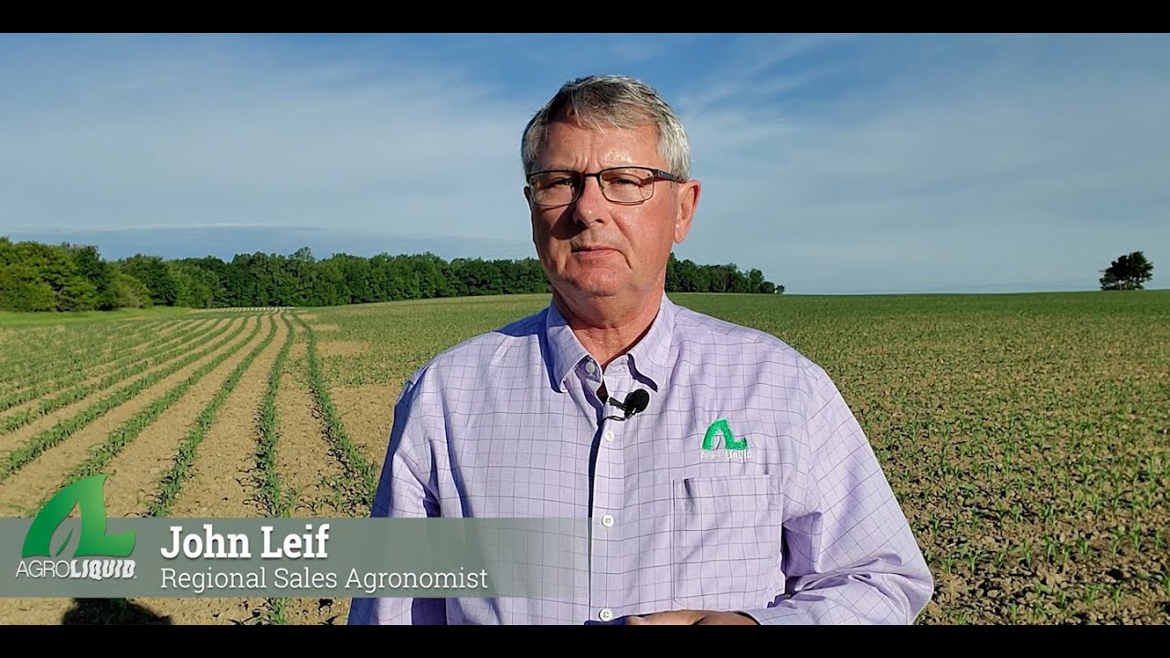 Corn Silage | AgroLiquid