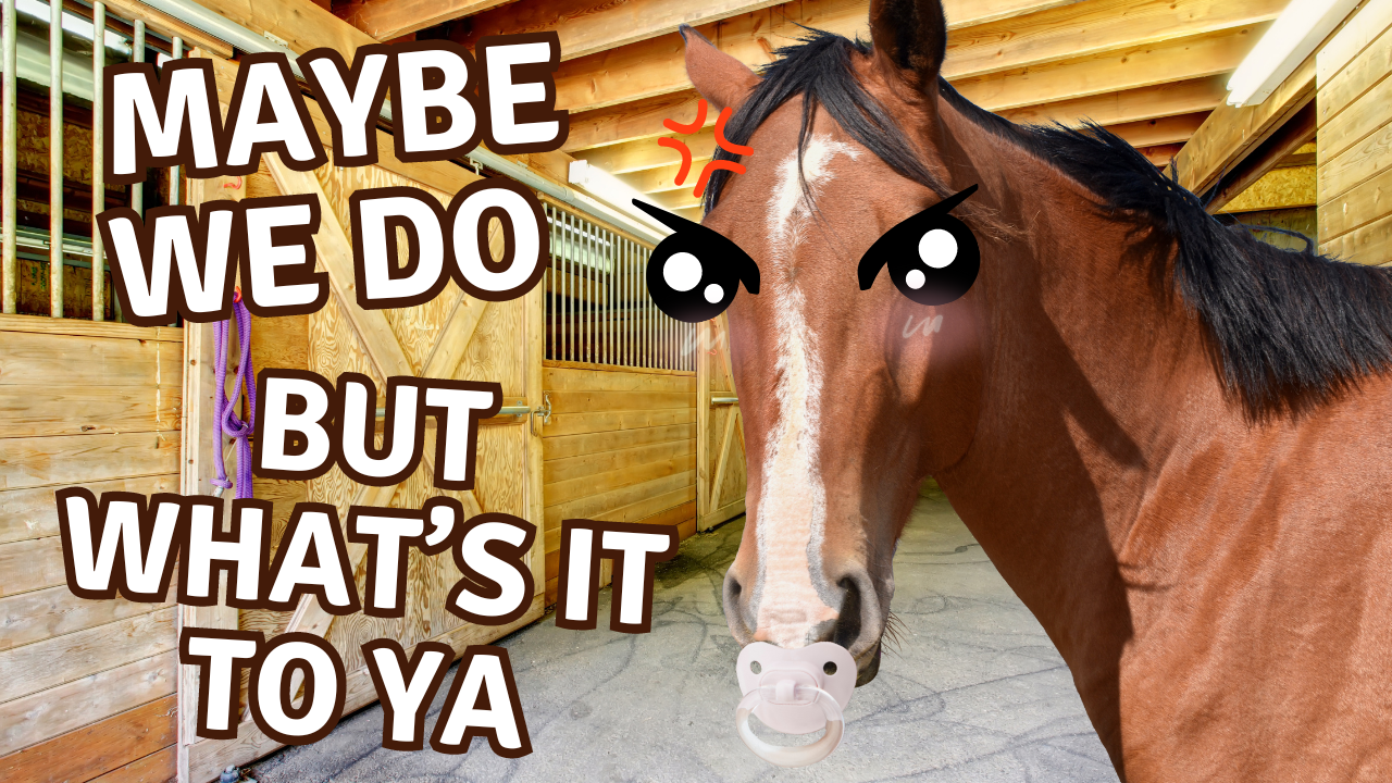 Colicky Horse? Use a Pacifier? | WAG in Focus 06/26/24