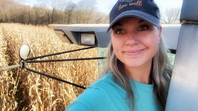 Corn Field Beaver Damage || This Farm Wife