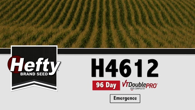 H4612 |  96-Day |  VT2P
