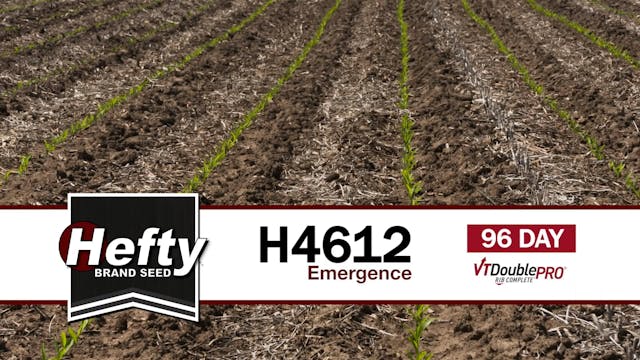 H4612 | 96-Day | VT2P