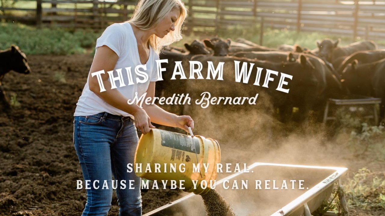 This Farm Wife || Introductions and Wrapping Sudan Hay