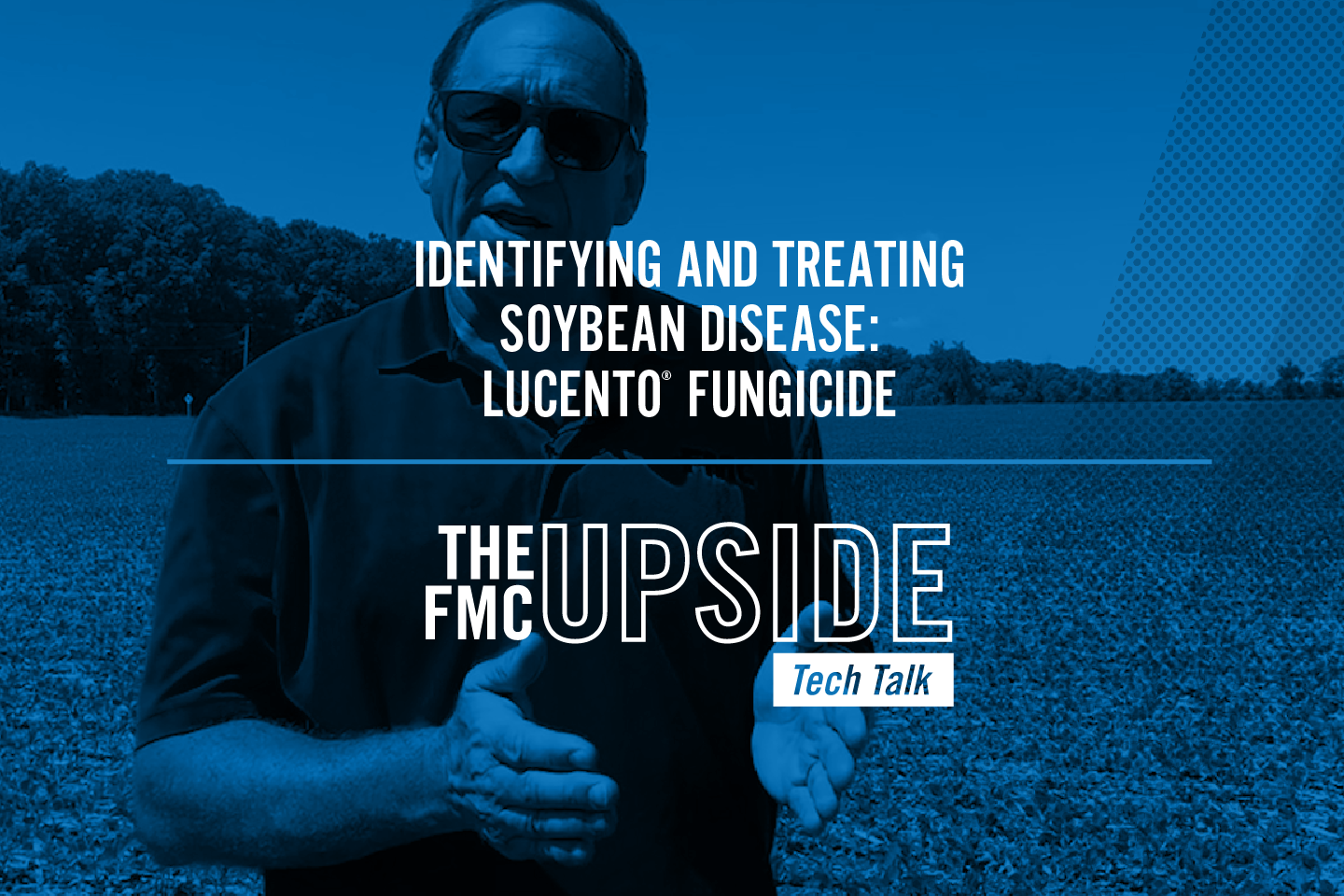 Identifying and Treating Soybean Disease: Lucento® Fungicide | FMC