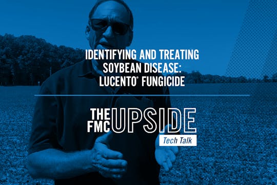 Identifying and Treating Soybean Dise...