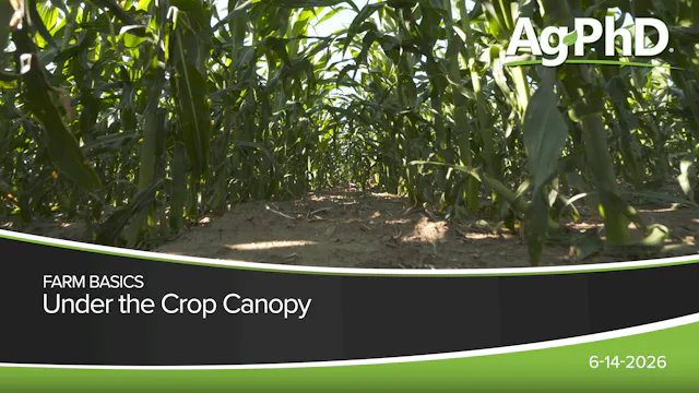 Under the Crop Canopy | Ag PhD