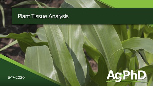 Plant Tissue Analysis | Ag PhD