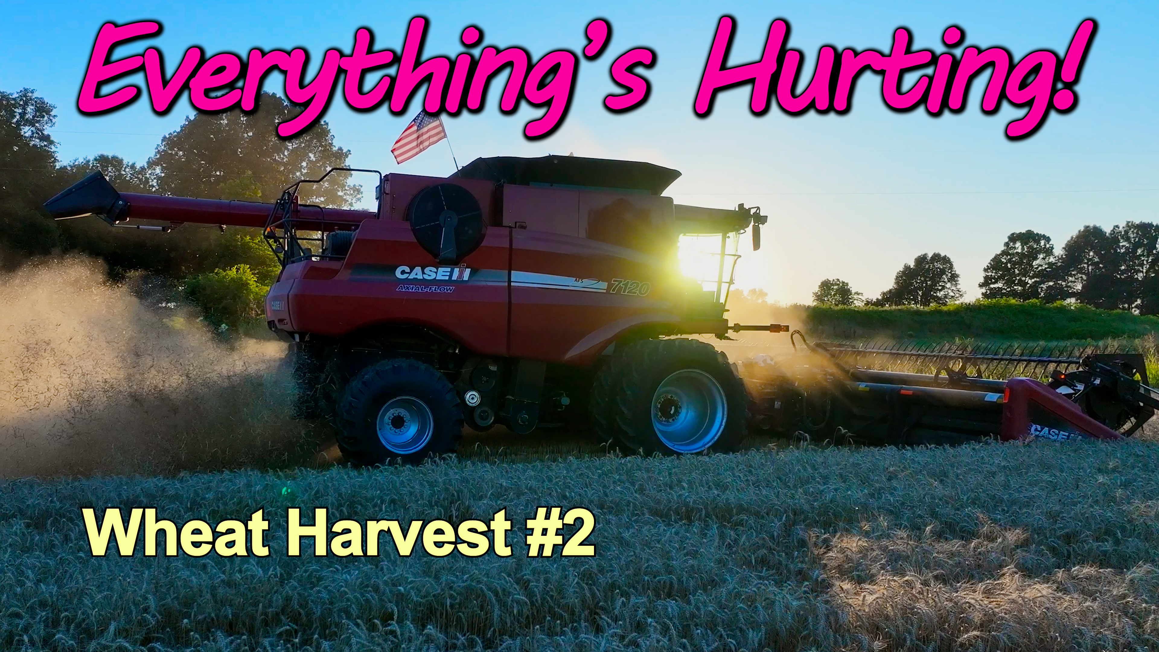 State Of The Union - Everything's Hurtin! Wheat harvest #2 | Griggs Farms